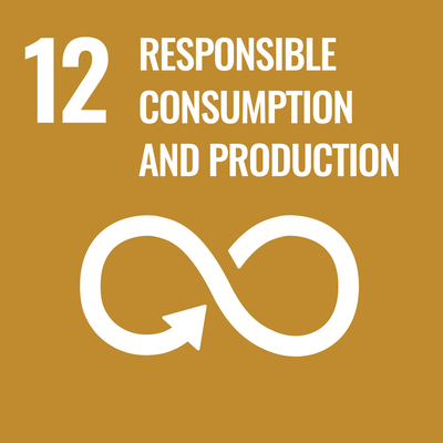 SDG 10