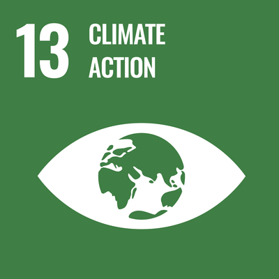 SDG 11